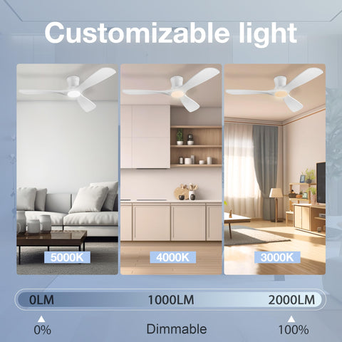 Hoenofly flush-mount low profile design suitable for low ceilings