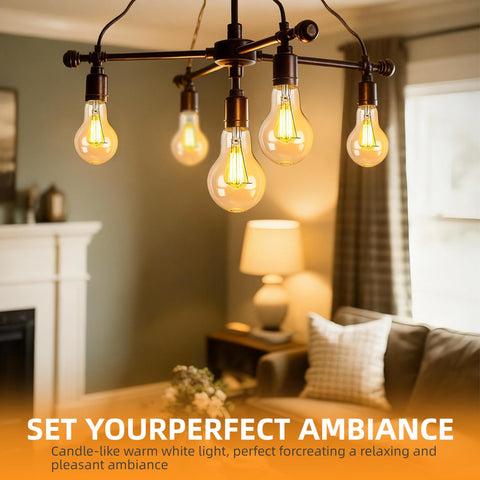 Hoimuv 100W A19 base-E26 fits most lamps