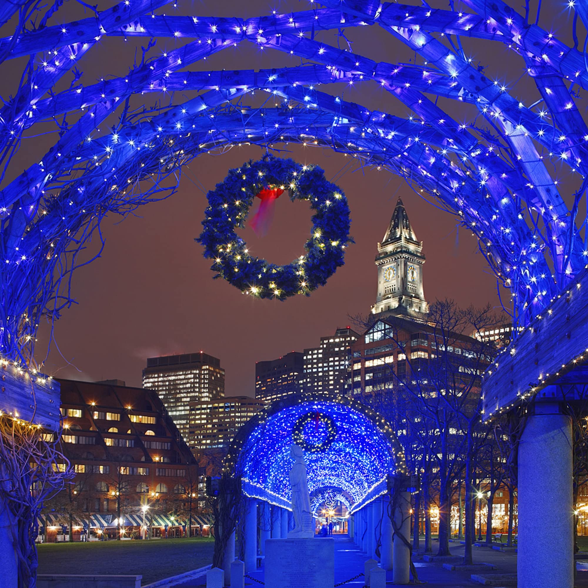 HOME LIGHTING blue LEDs on a green wire support large, scalable displays.