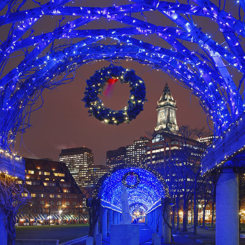 HOME LIGHTING blue LEDs on a green wire support large, scalable displays.