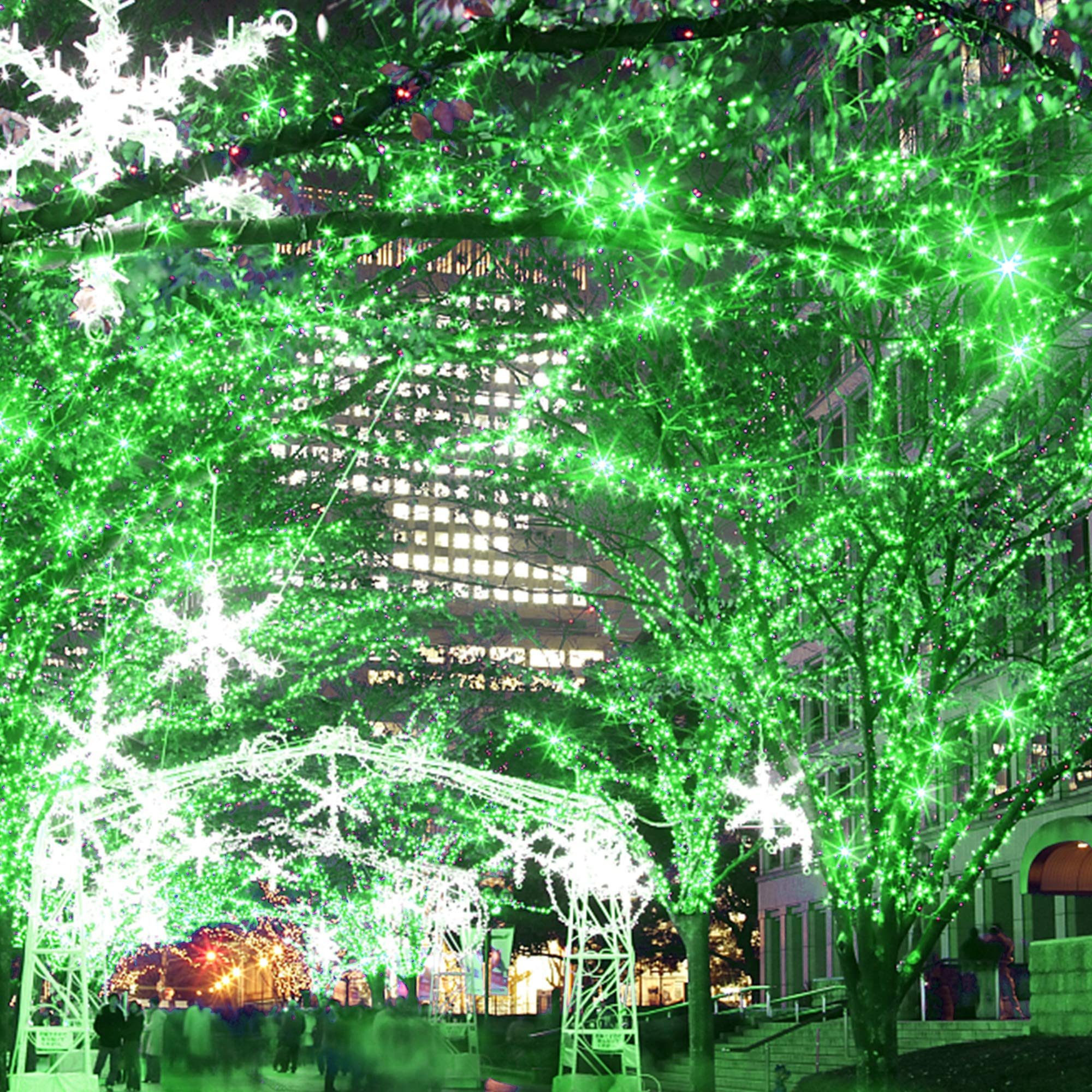 HOME LIGHTING St Patrick's Day fairy lights create festive indoor ambiance