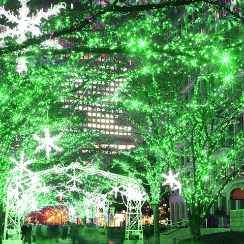 HOME LIGHTING St Patrick's Day fairy lights create festive indoor ambiance