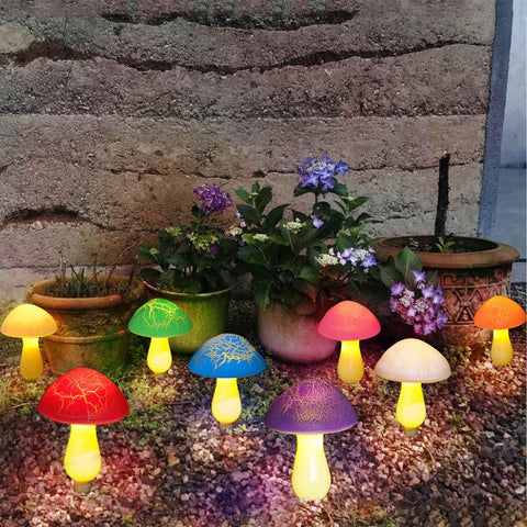 Homeleo housewarming mushroom decor adds playful charm to entryway
