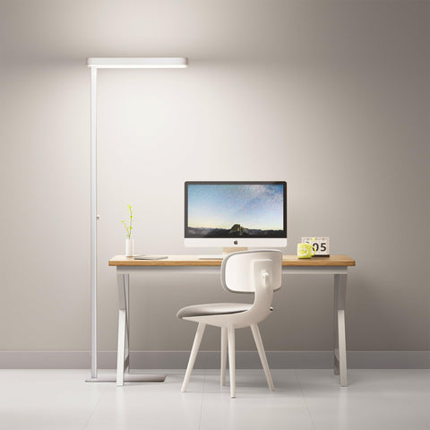 Homelist LH1 floor lamp provides broad, even room illumination for studying.