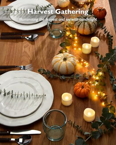 Homemory 12-pack provides consistent lighting for multiple displays and occasions