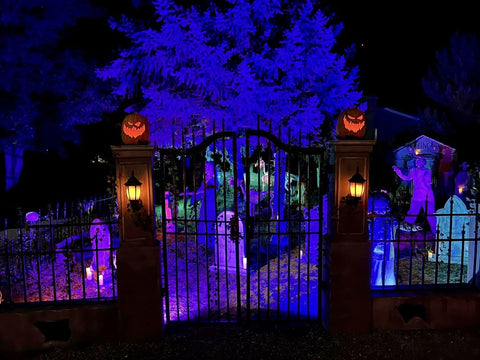 Hompavo flame bulb adds festive vibe to Halloween and Christmas decorations.