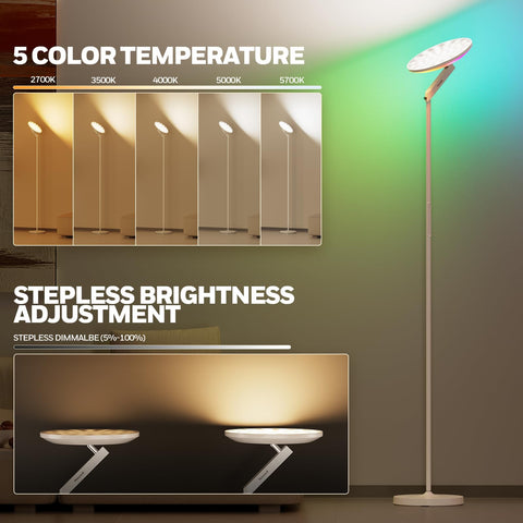 Honeywell lamp remote and dimming provide easy brightness control.