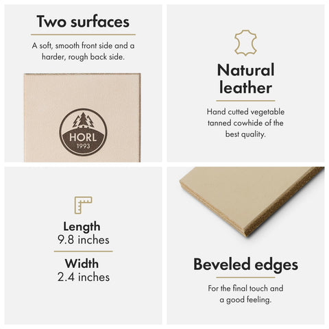 HORL corundum whetstone 6000-disc closeup for ultra-smooth bevel