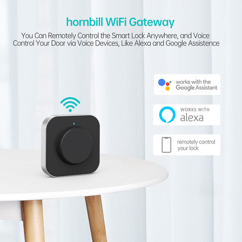 TTLock app setup with Hornbill G2 for quick Wi‑Fi pairing