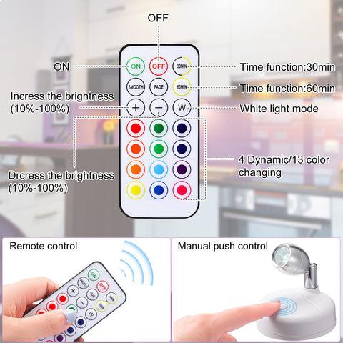 Hortsun 13-color LED option creates mood-changing lighting for artworks and displays.