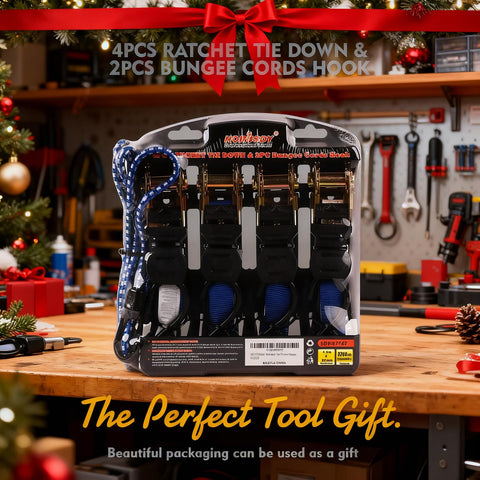 HORUSDY 4-pack webbing with S-hooks provides versatile tie-downs.