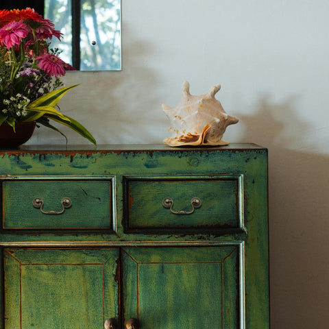 HOUSEHOOK cabinet pull with screws included enables hassle-free installation