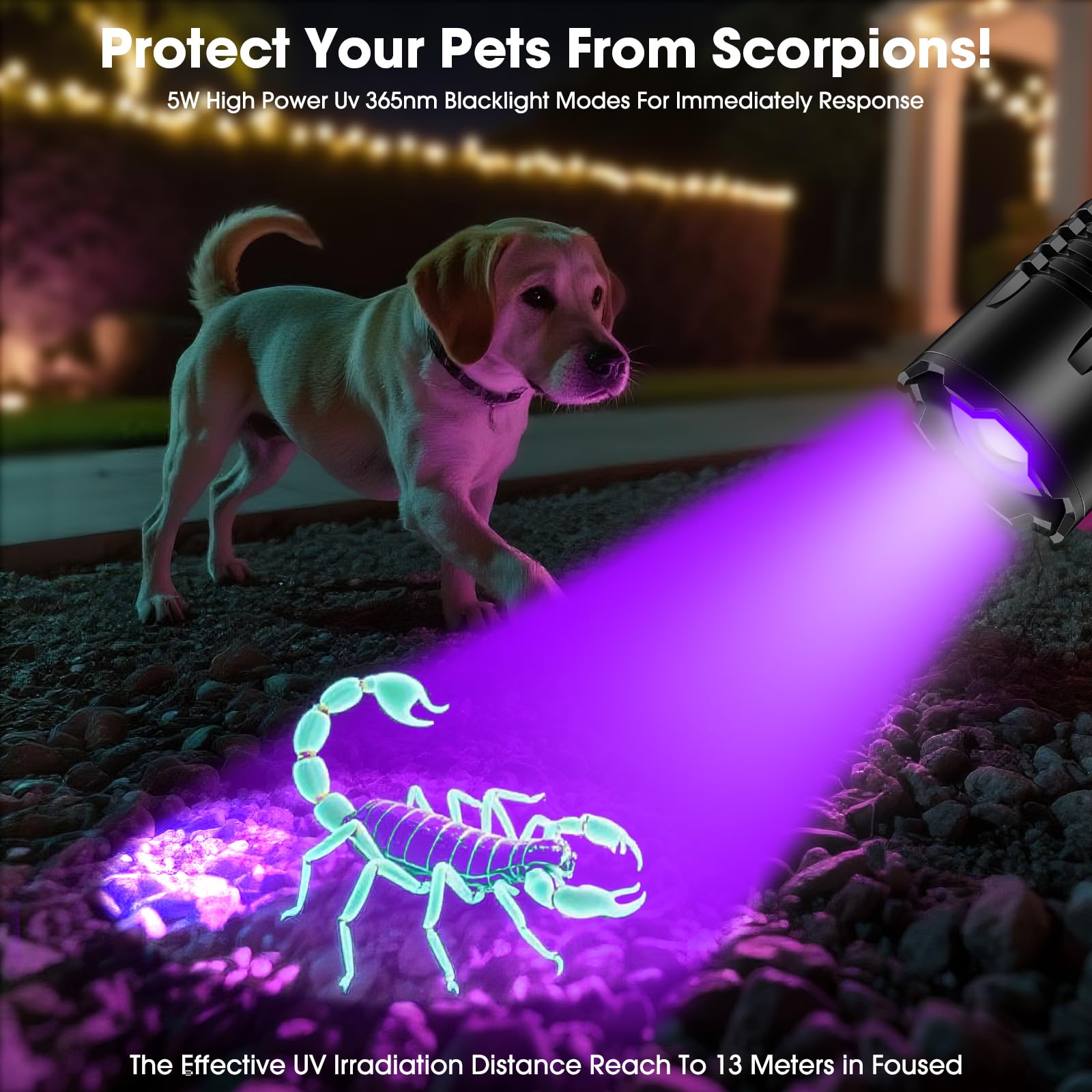 Hoxida UV flashlight reach 13m UV beam for thorough pet stain checks