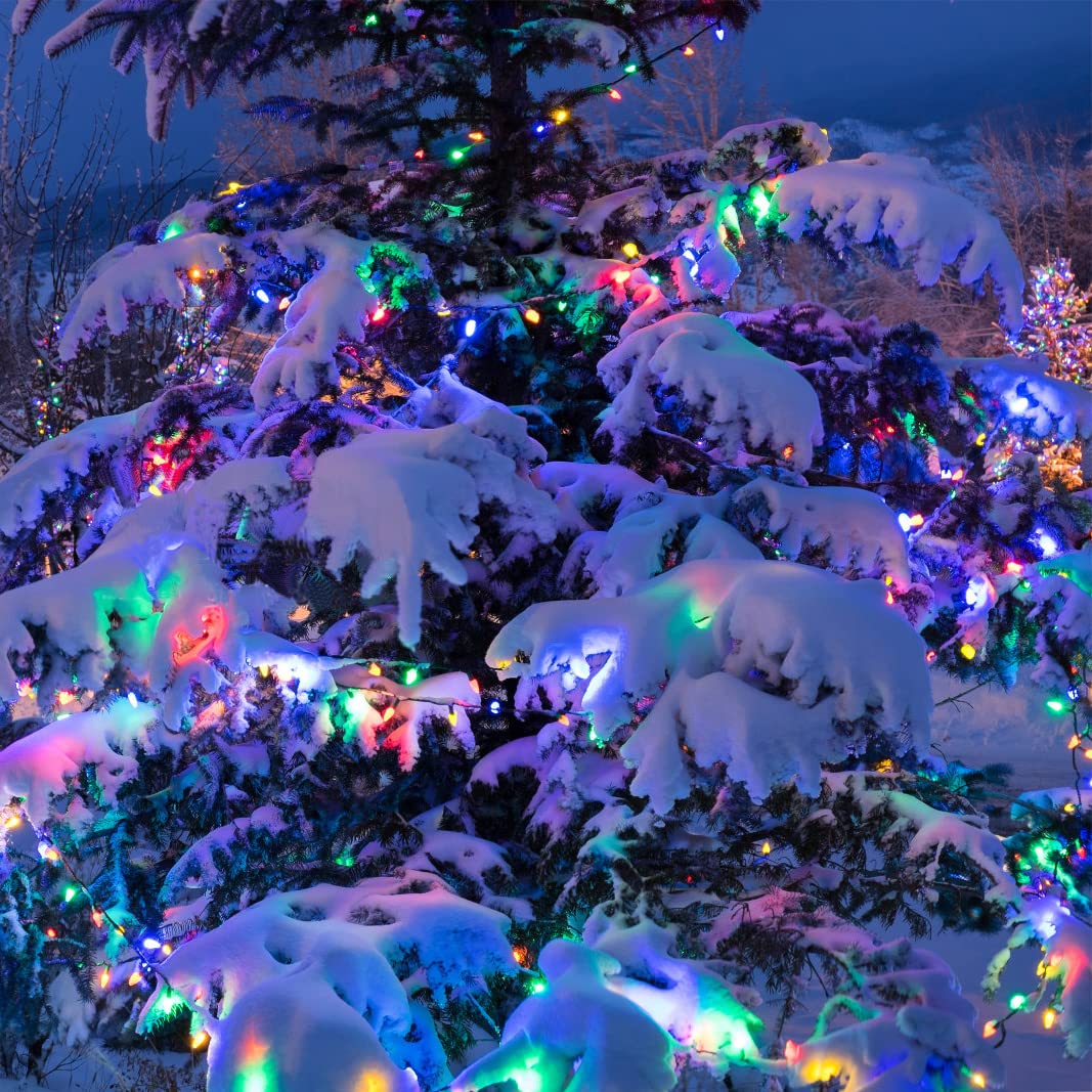 Huacenmy waterproof starry fairy lights create party ambiance outdoors.