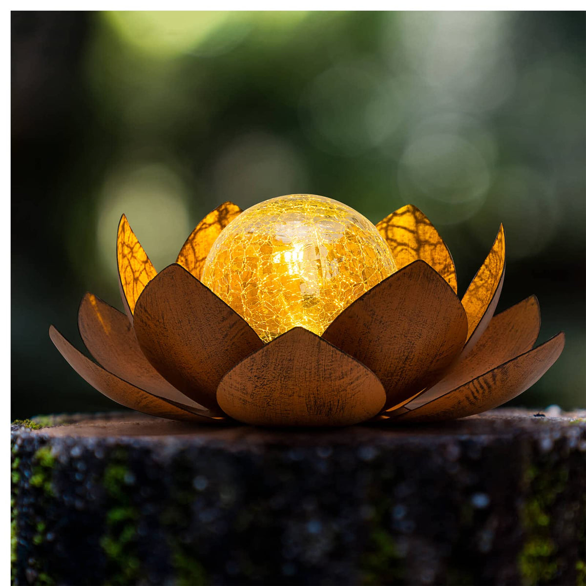 Huaxu lotus solar light for garden display with gentle glow.