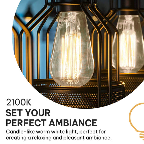 HUDSON BULB CO. compatible with E26/E27 bases fits standard fixtures.