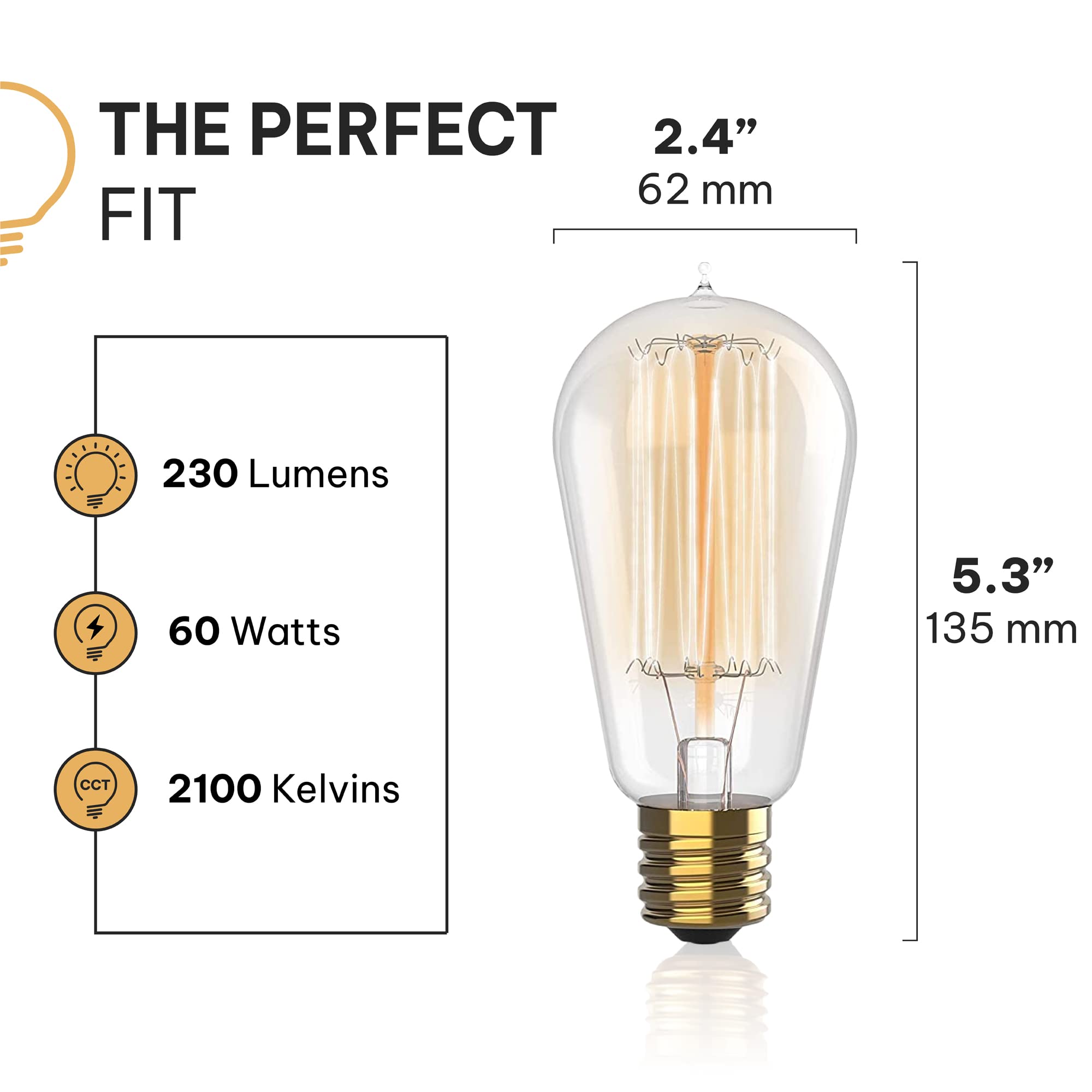 HUDSON BULB CO. squirrel filament teardrop glow ideal for cozy indoor lighting.