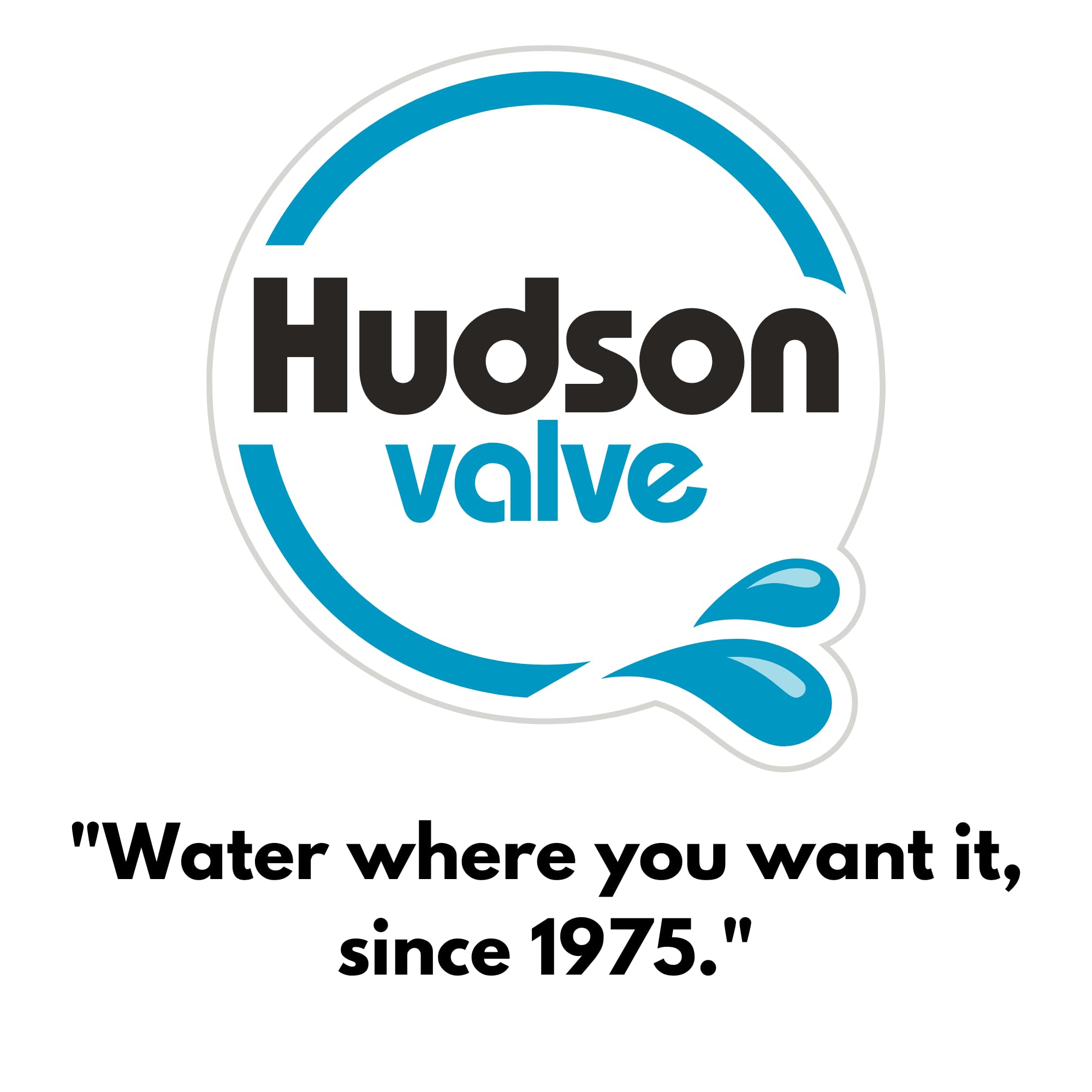 Hudson Valve compact dimensions fit tight spaces in tanks.