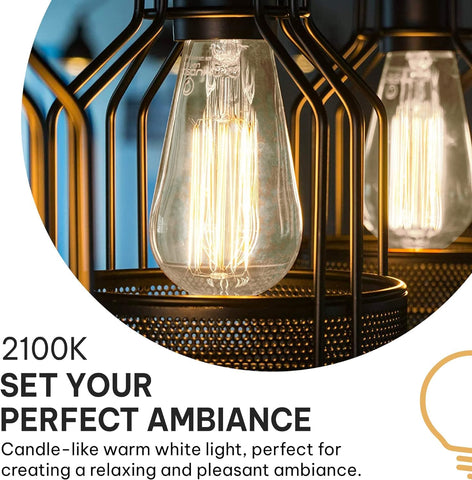 HUDSON BULB CO. 2100K warm glow creates cozy atmosphere for living rooms and outdoor spaces.