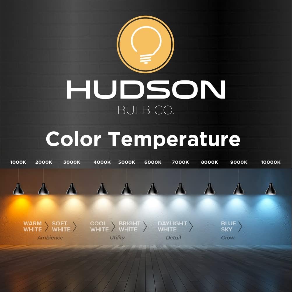 HUDSON BULB CO. outdoor lantern setup demonstrates rugged, weather-ready vintage aesthetics.