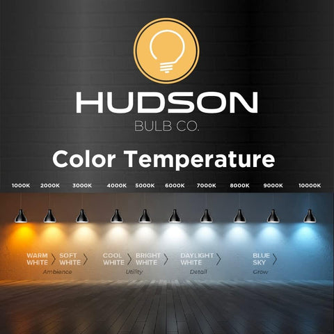 HUDSON BULB CO. outdoor lantern setup demonstrates rugged, weather-ready vintage aesthetics.