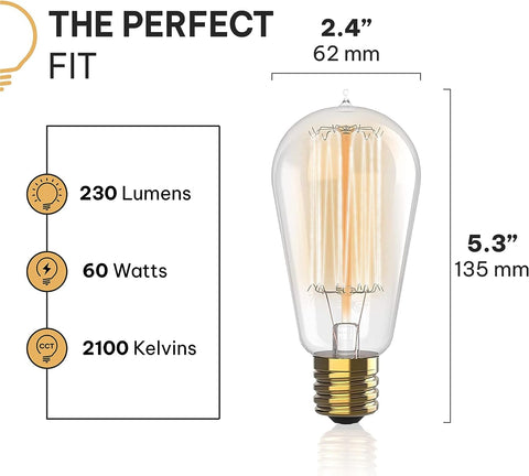 HUDSON BULB CO. squirrel filament detail highlights retro charm, perfect for stylish interiors.