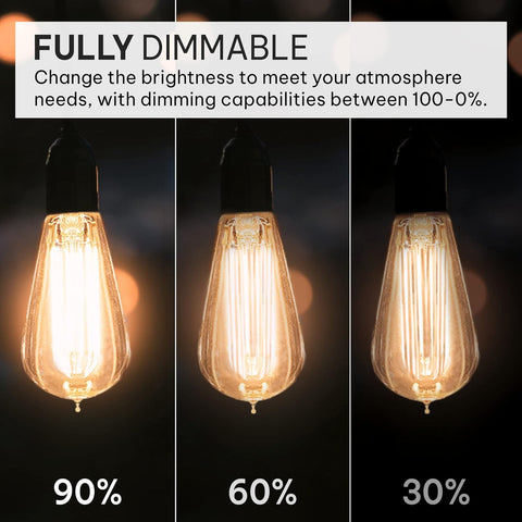 HUDSON BULB CO. vintage Edison bulb in a lamp demonstrates warm glow for inviting rooms.