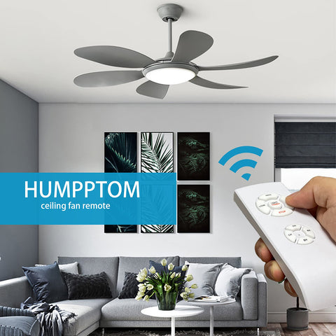 Humpptom separate fan and light on/off with three-speed options demonstrated