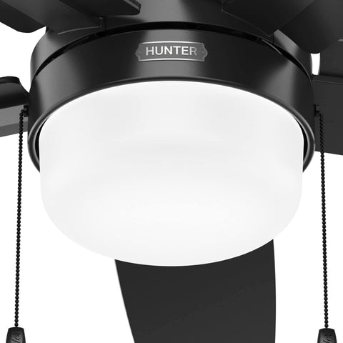Matte black finish complements contemporary interiors.