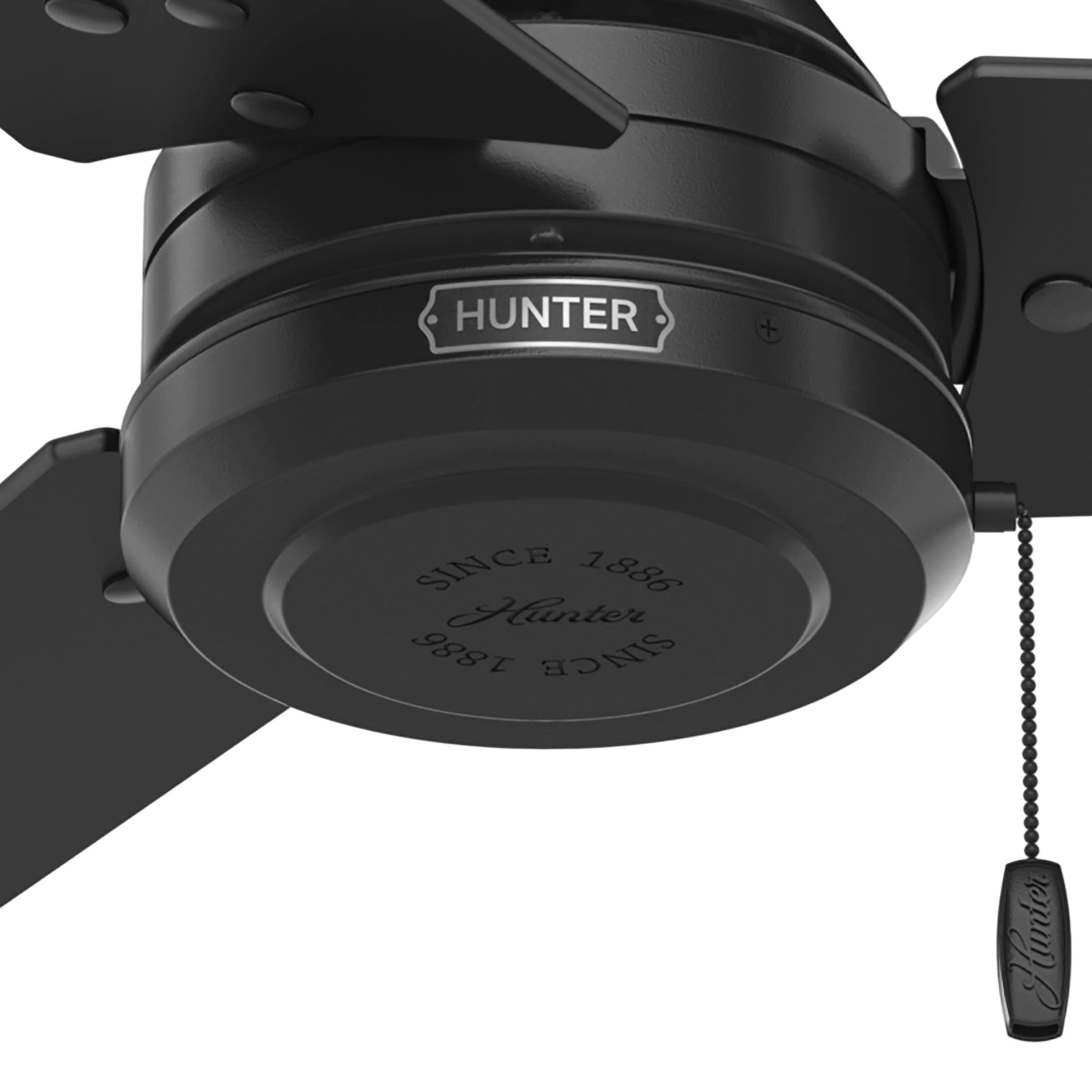 Adjustable mount on Hunter Cassius supports standard or angled installations.