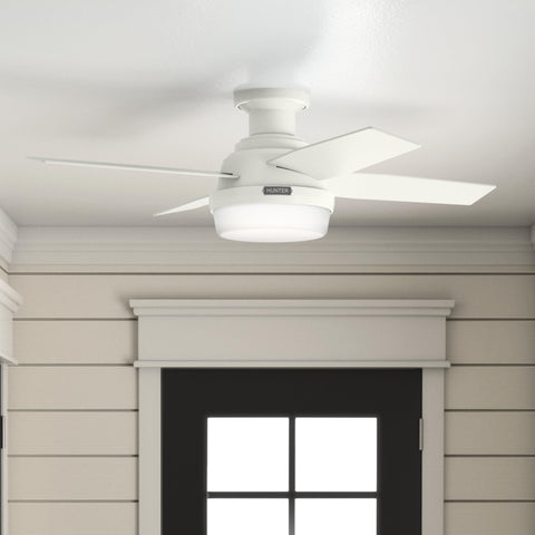 Hunter Dempsey ceiling-mount low-profile design blends with low ceilings