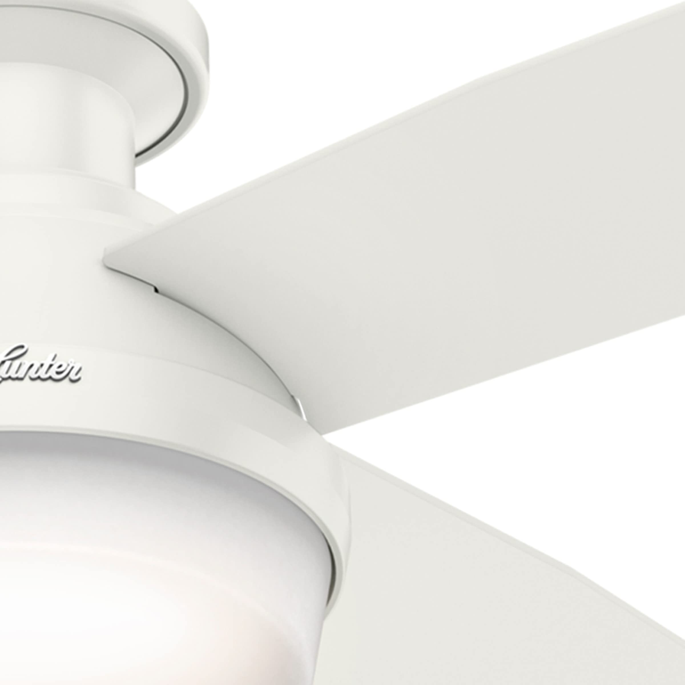 Hunter Dempsey flush ceiling appearance ideal for rooms with low ceilings