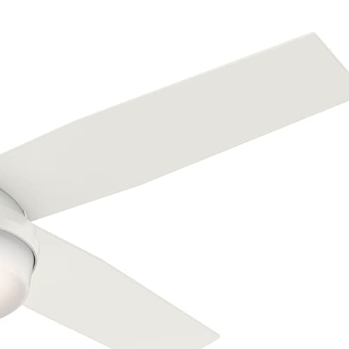 Hunter Dempsey kitchen friendly ceiling fan with integrated light