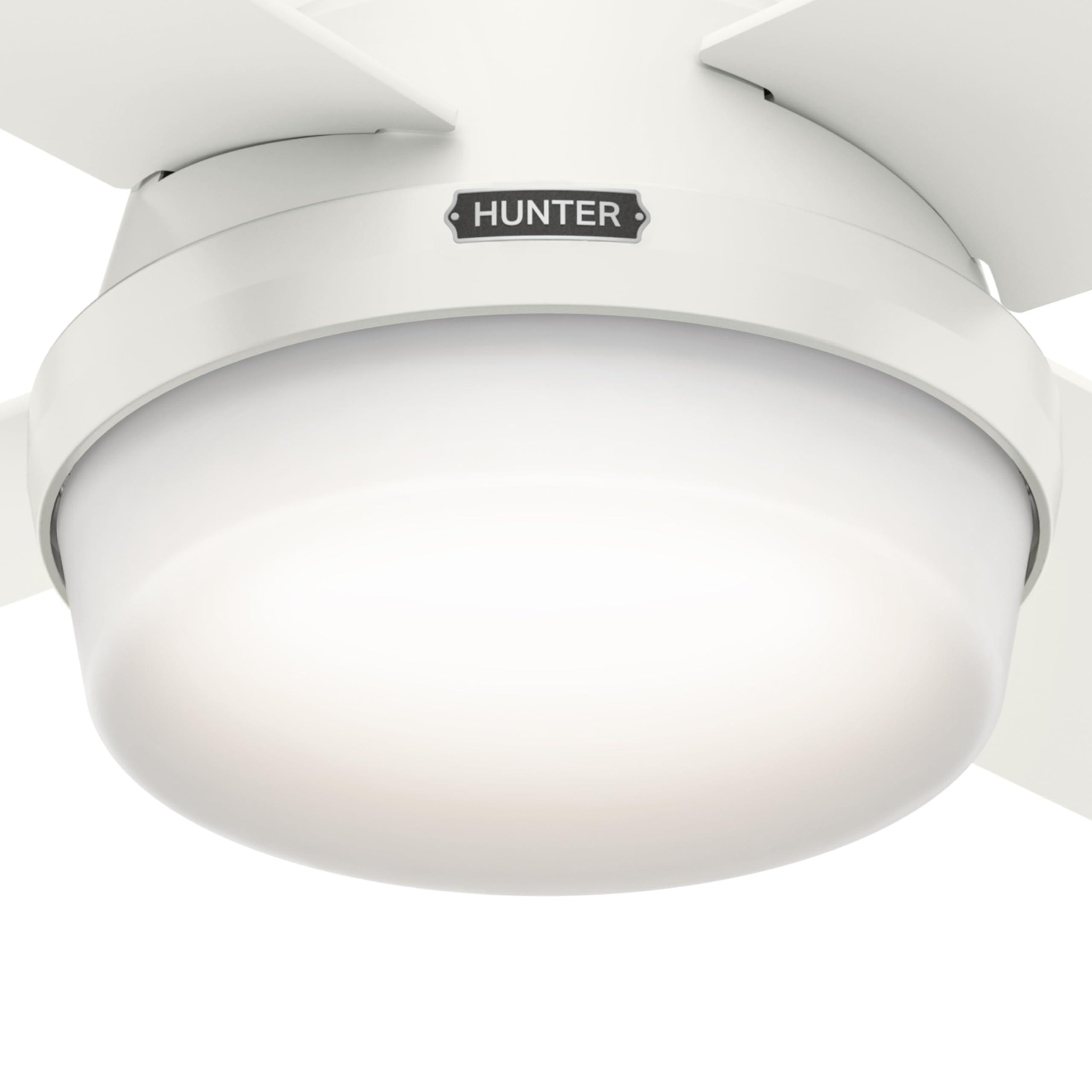 White finish close-up demonstrates clean contemporary styling