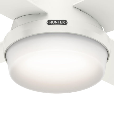 White finish close-up demonstrates clean contemporary styling