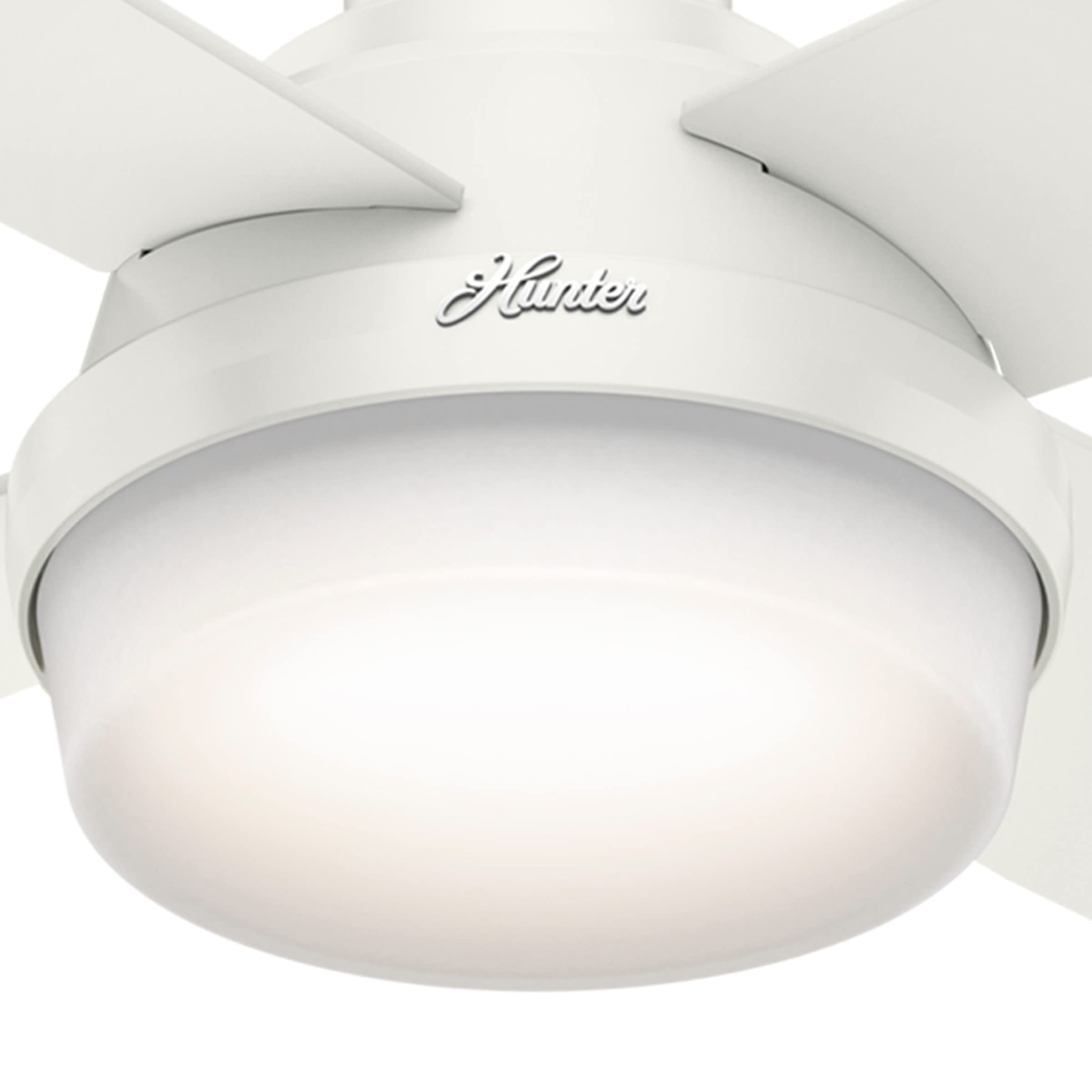 Hunter Dempsey white glass light cover with clean contemporary look