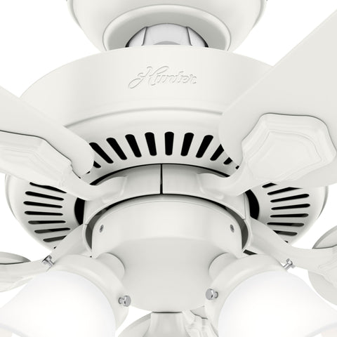 Includes 2-inch downrod for optimal height on high ceilings