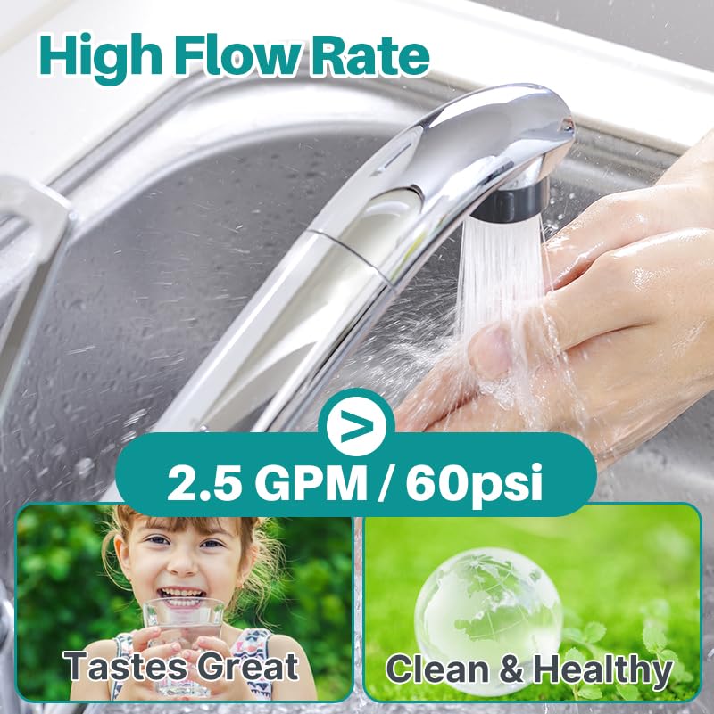 ICEPURE WFS5300A-20 coconut shell carbon filter for natural purification.
