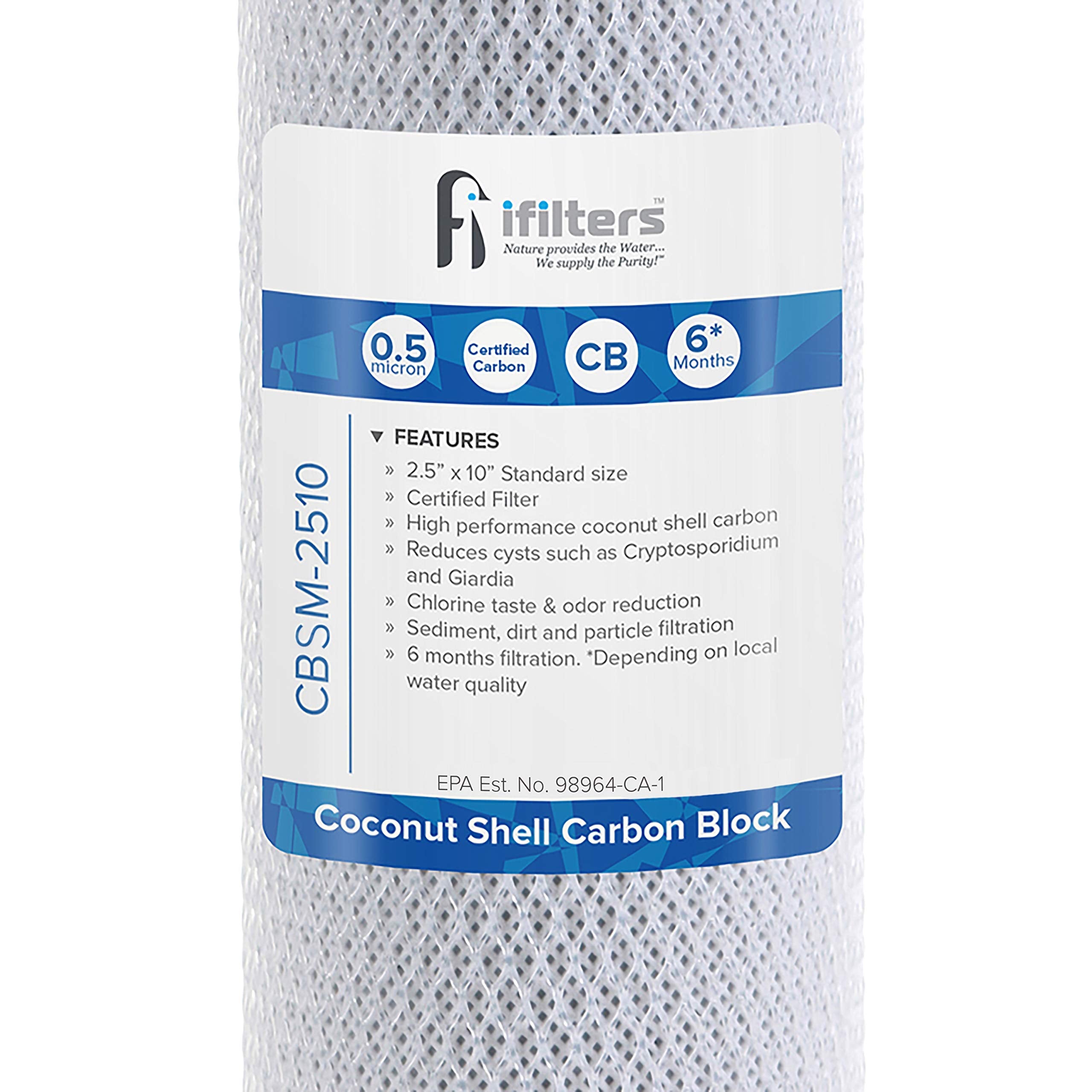 iFilters 2.5x10 housing replacement fits standard filtration systems