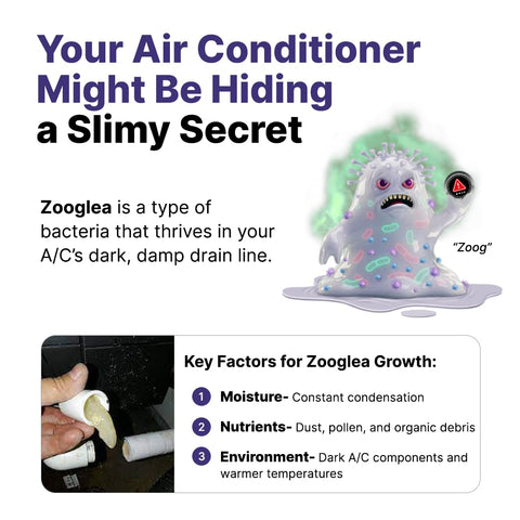 iFLO bio-enzymatic cleaning formula safely reduces buildup