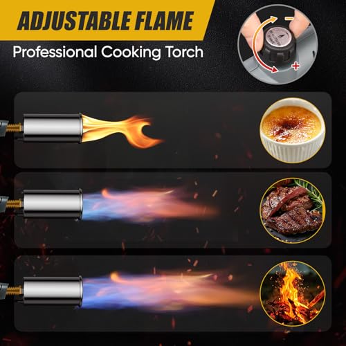 IgnitChef kitchen torch searing steak demonstration with restaurant-style crust