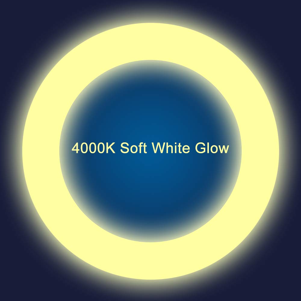 iledlight T9 LED Circline 4-pin G10Q base close-up