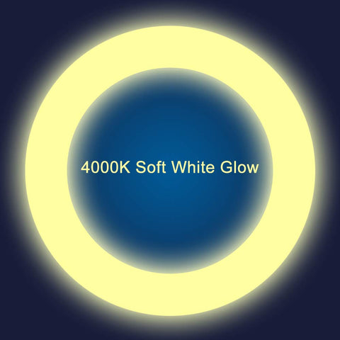 iledlight T9 LED Circline 4-pin G10Q base close-up