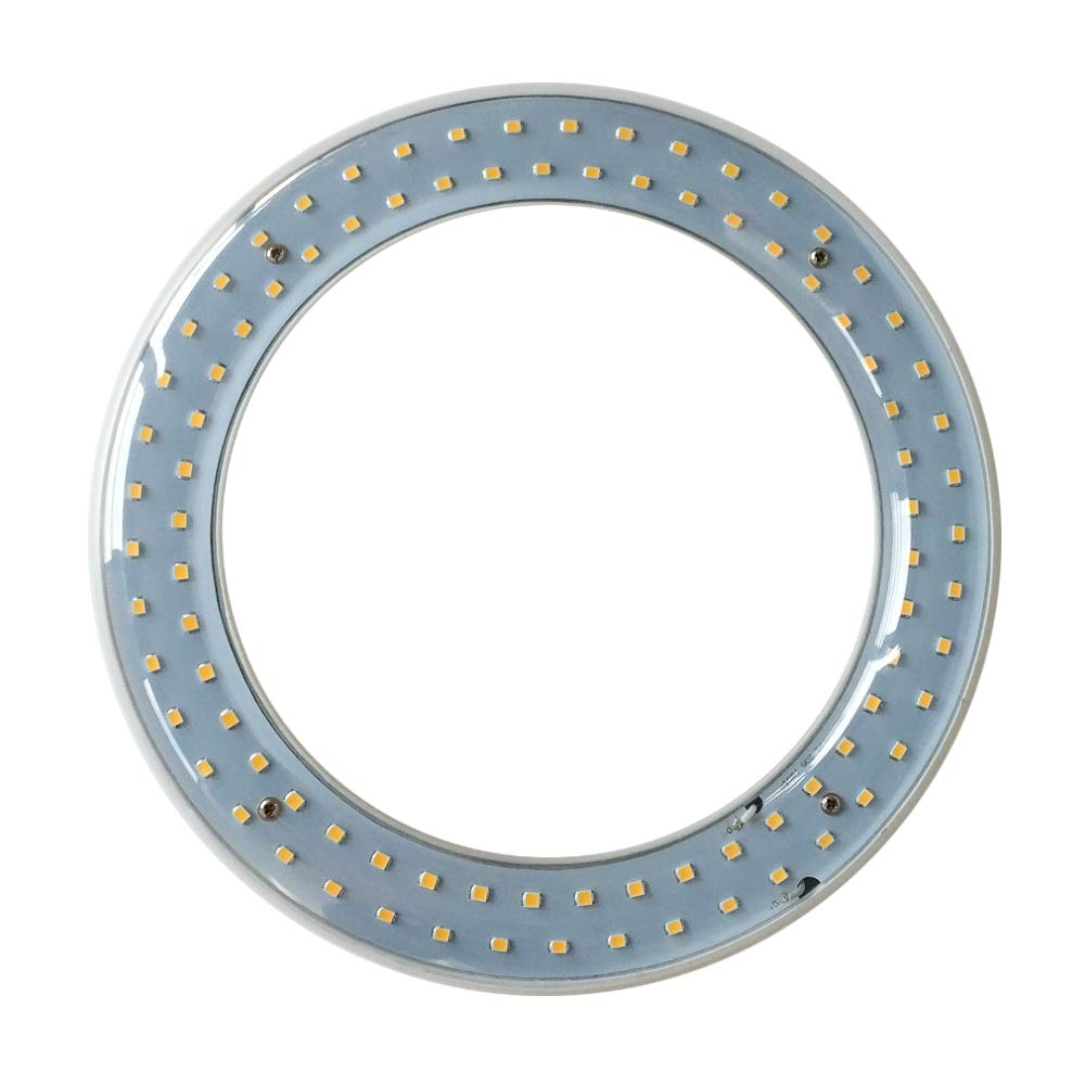 iledlight T9 LED Circline 8-inch front view showing even illumination