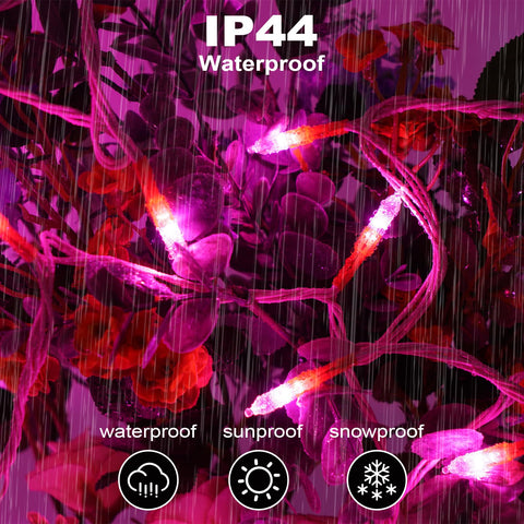 ILLUMINEW pink LED lights wrapped around an indoor tree