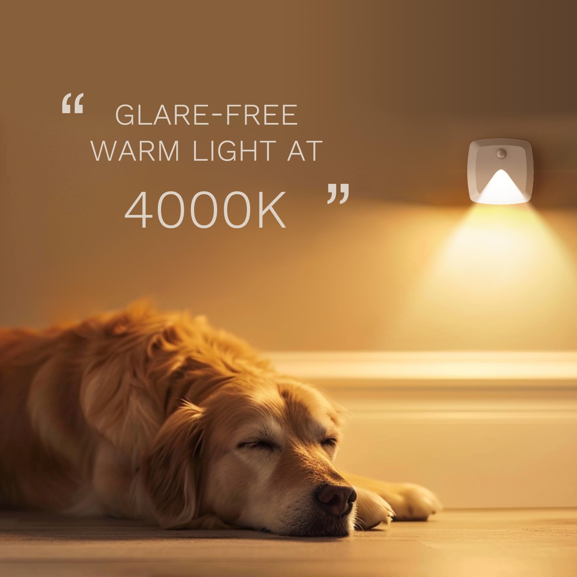 Innofox warm-white glow creates soft ambient lighting.