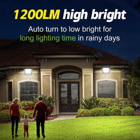 Intelamp solar flood light garden-mounted brightens pathways and borders