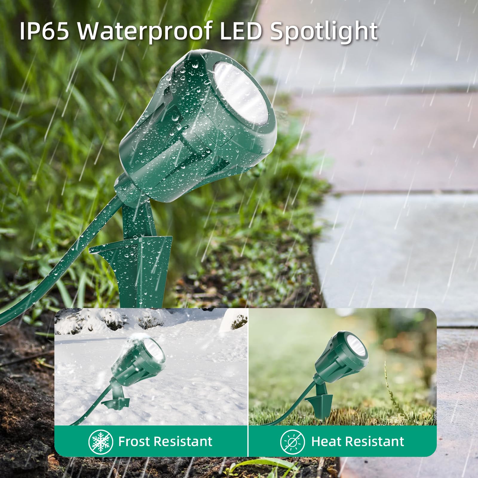 IsleWire daylight 4000K spotlight offers crisp, natural-looking illumination for trees and walls.