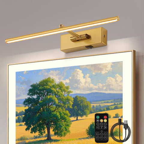 iYoee battery operated picture light with wireless remote highlights artwork with adjustable color temperature