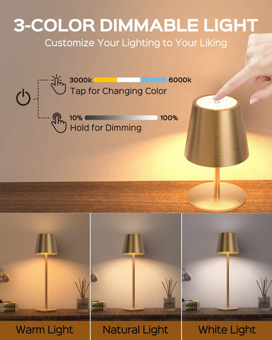 JACKYLED portable LED lamp for indoor or outdoor dining and camping.